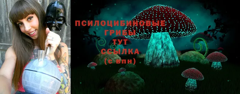 Галлюциногенные грибы Magic Shrooms  Пугачёв 